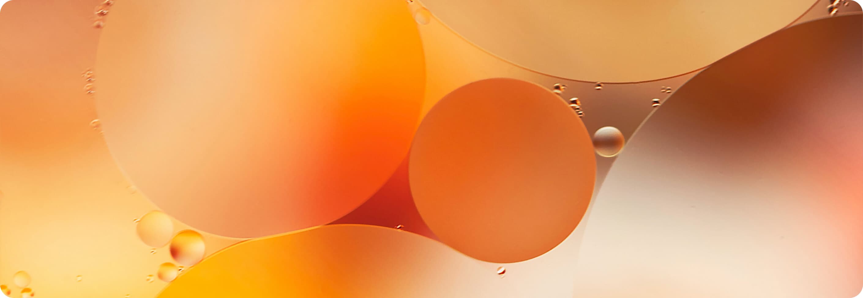 HealthTech technology leadership