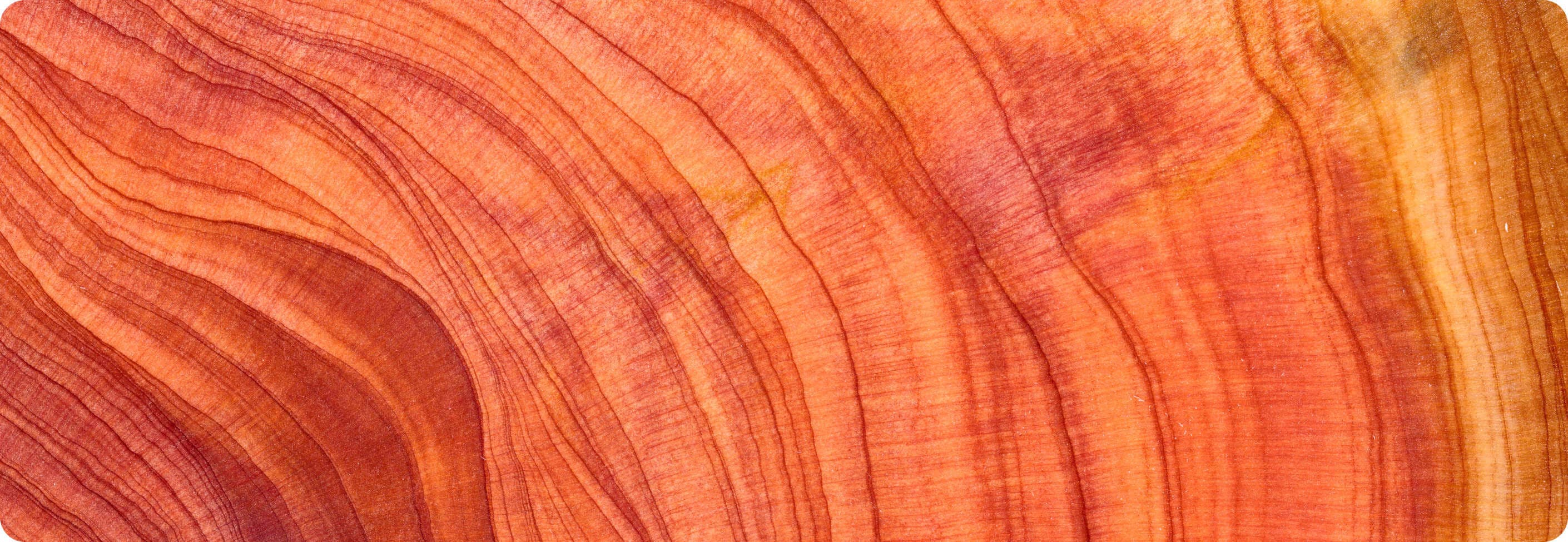 SaaS technology leadership