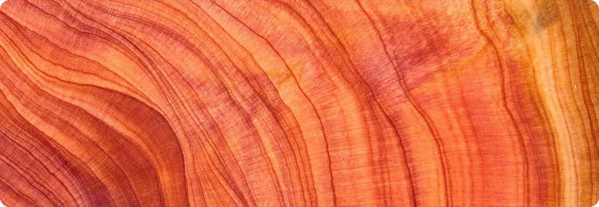 SaaS technology leadership