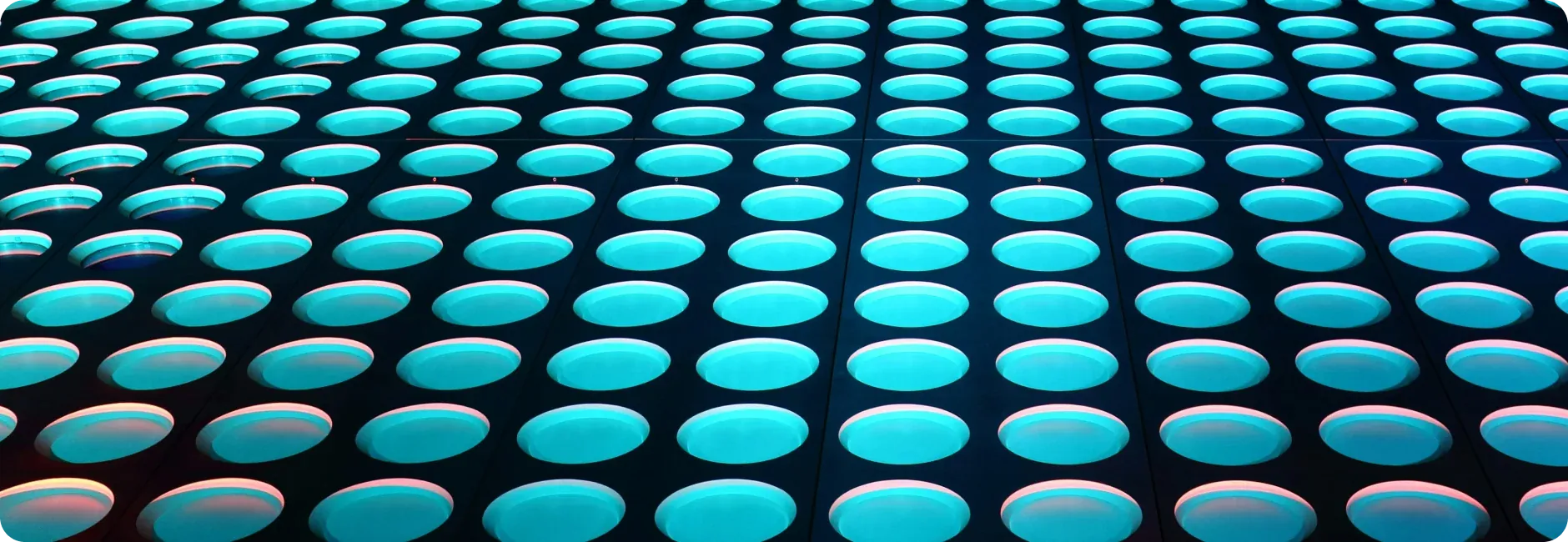 Technology leadership for portfolio companies